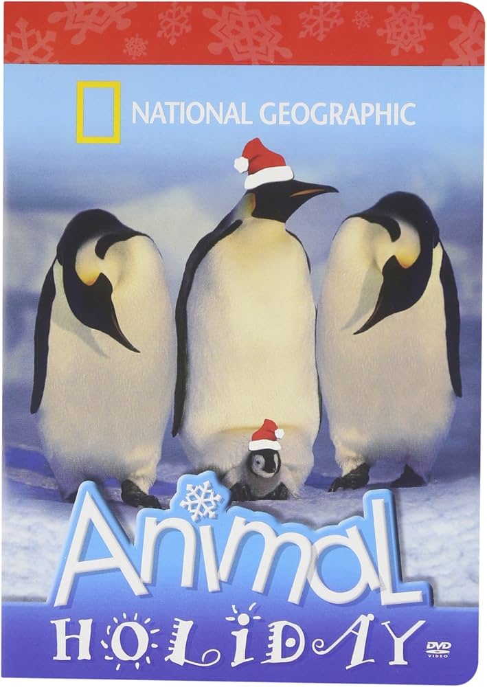 National Geographic Kids: Animal Holiday - Image 3