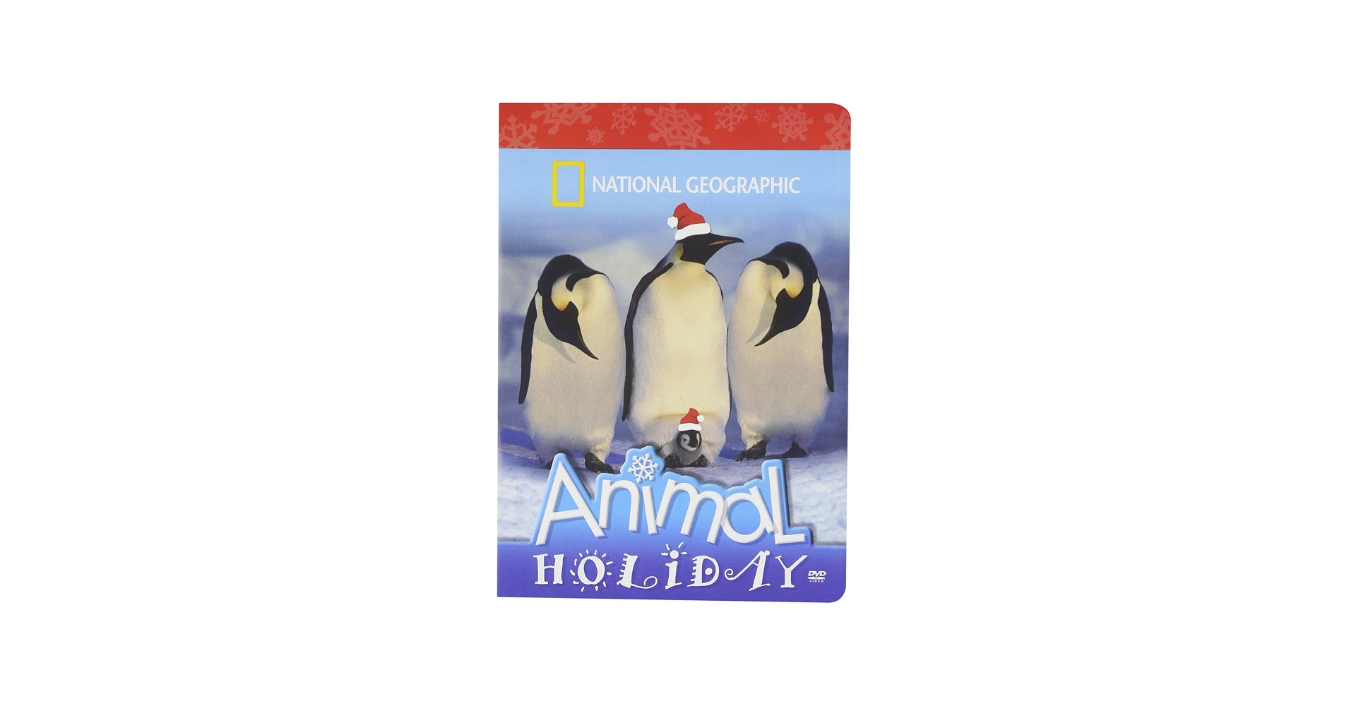 National Geographic Kids: Animal Holiday - Image 5