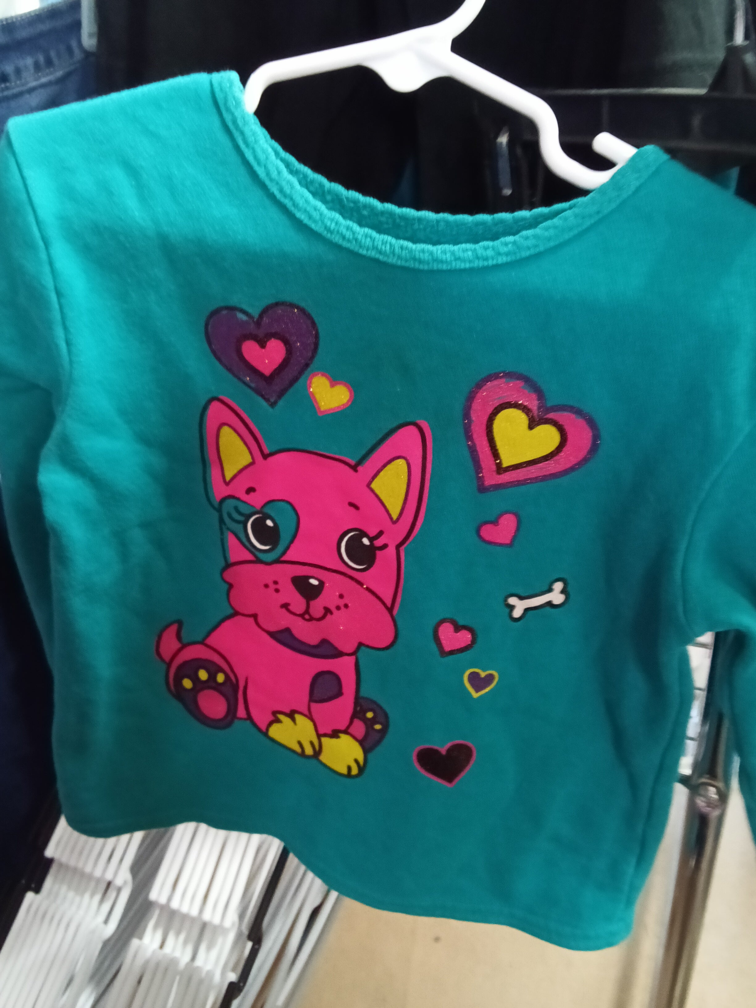 Kids Teal Long Sleeve Shirt with Pink Dog Graphic - Image 1