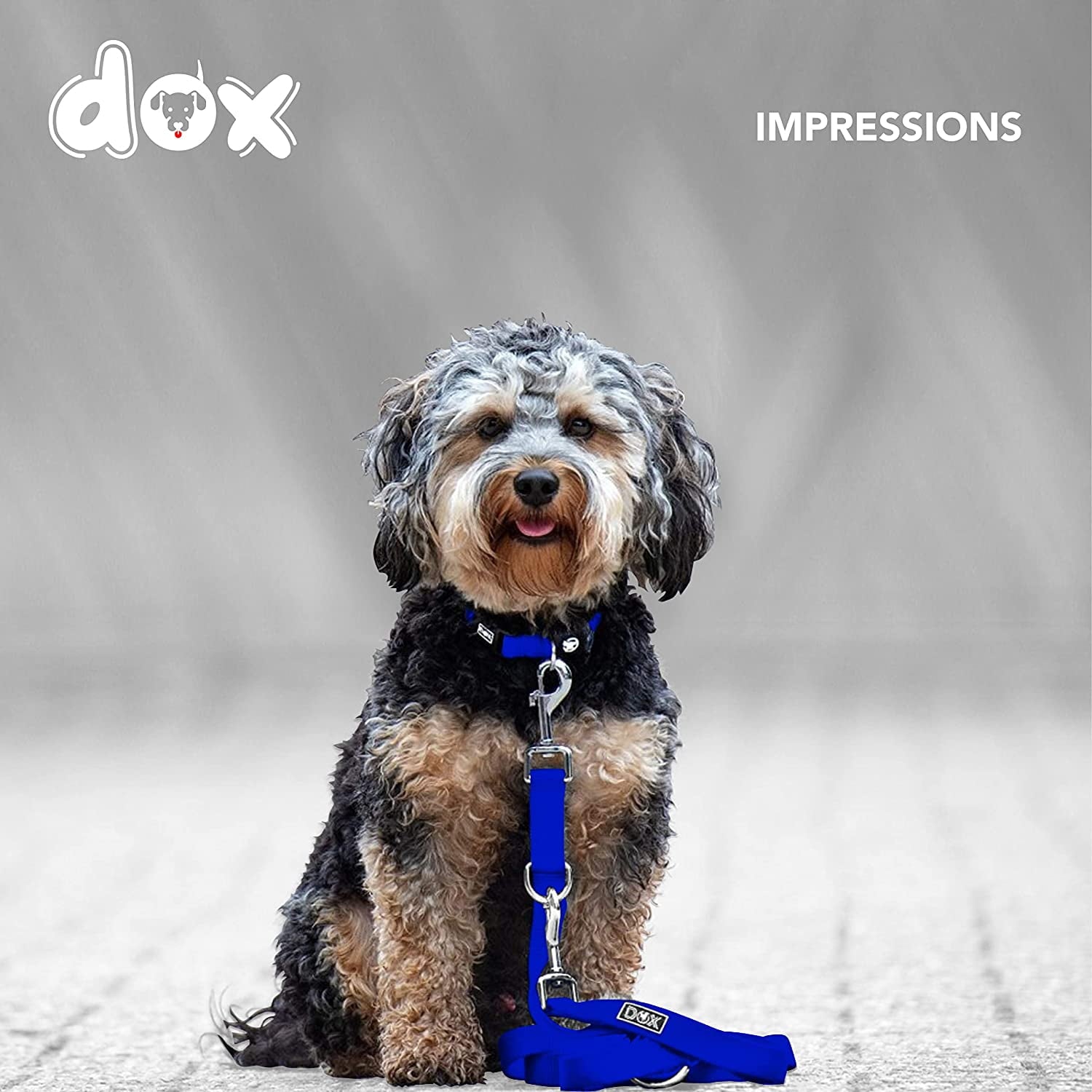 Ddoxx Nylon Dog Leash 3-Way Adjustable 66 Ft - for Dogs Large Small - Image 3