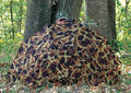 NEW Porta Roof Magnum And Blind Umbrella Like Hunting Camo Above Tree Stand - Image 1