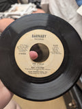 Ray Stevens 'The Streak' 7" Vinyl Single Barnaby Records 1974 - Image 1