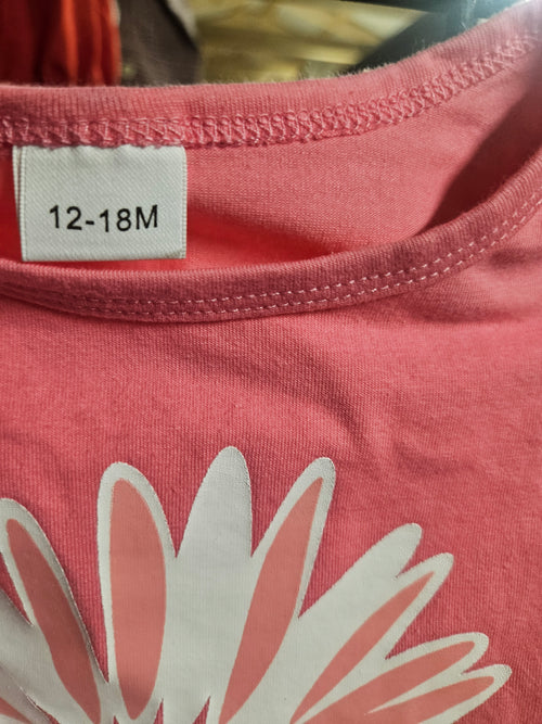 Baby Girl Floral Onesie 12-18M Pink 2 piece - Image 2