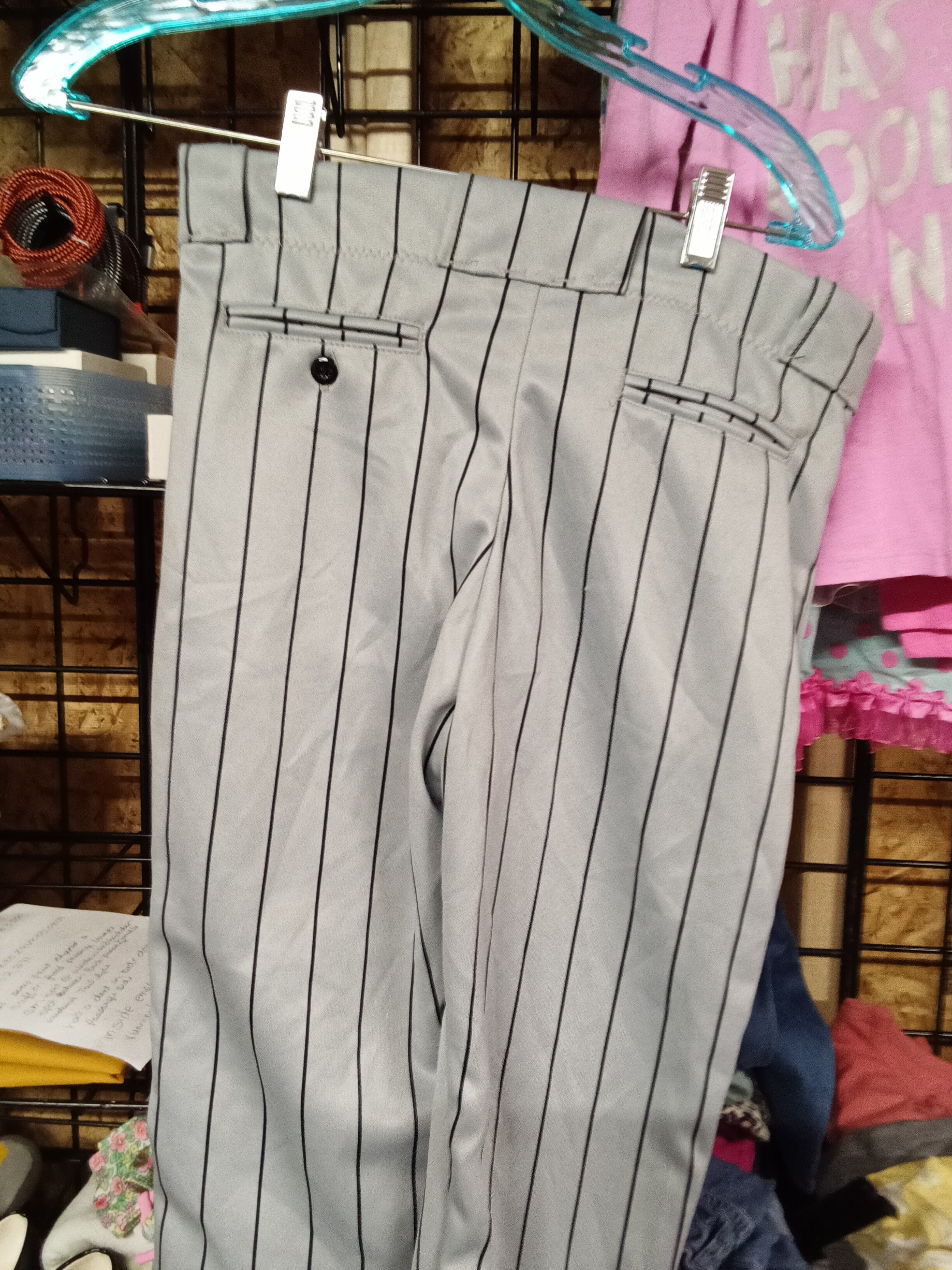 Bike Pinstripe Baseball Pants - Image 2