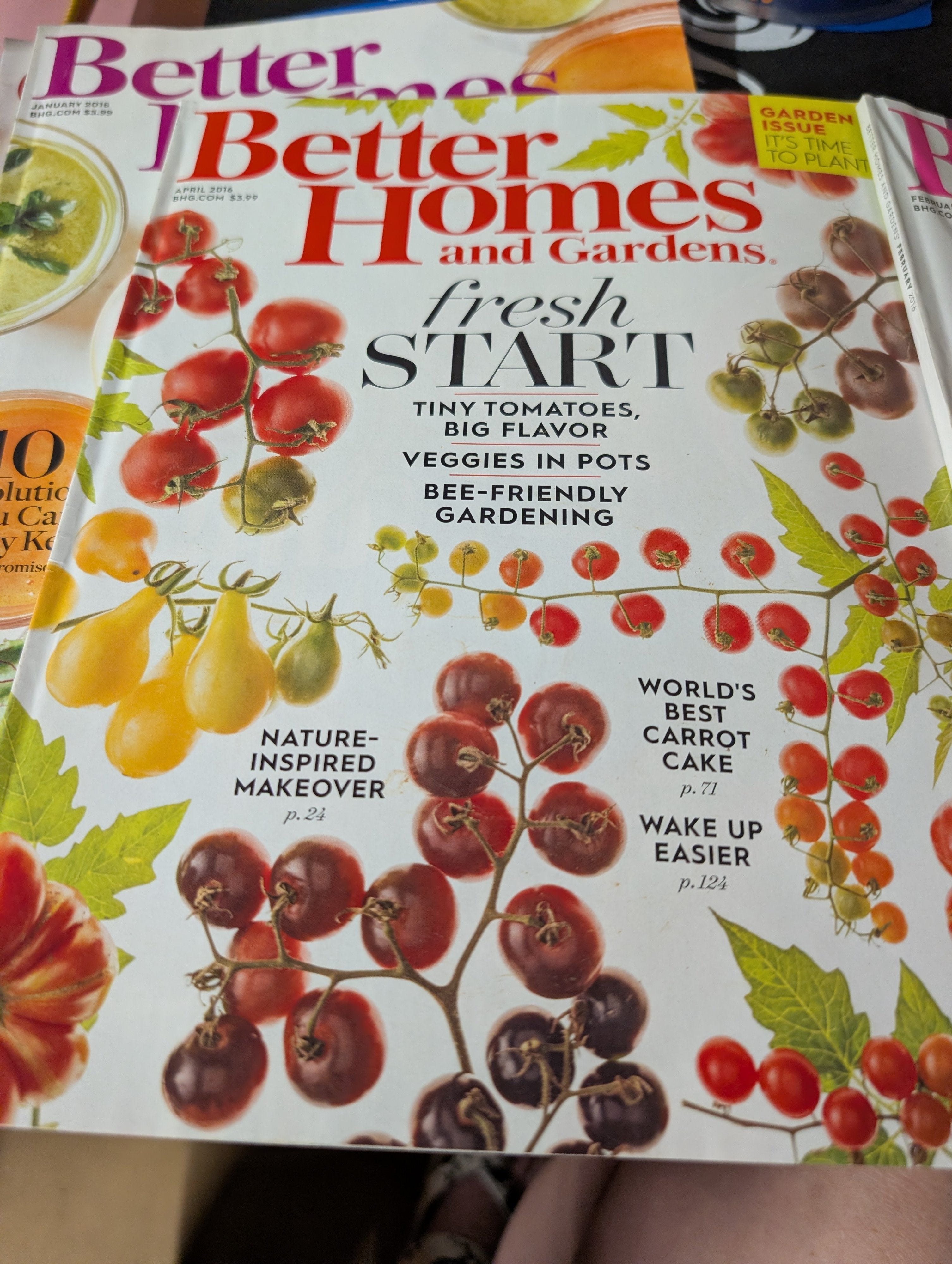 Better Homes and Gardens Magazines January & February 2016 - Image 4