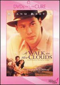 Walk in the Clouds Alfonso Arau Director - Image 1
