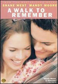 Walk to Remember Adam Shankman Director - Image 3