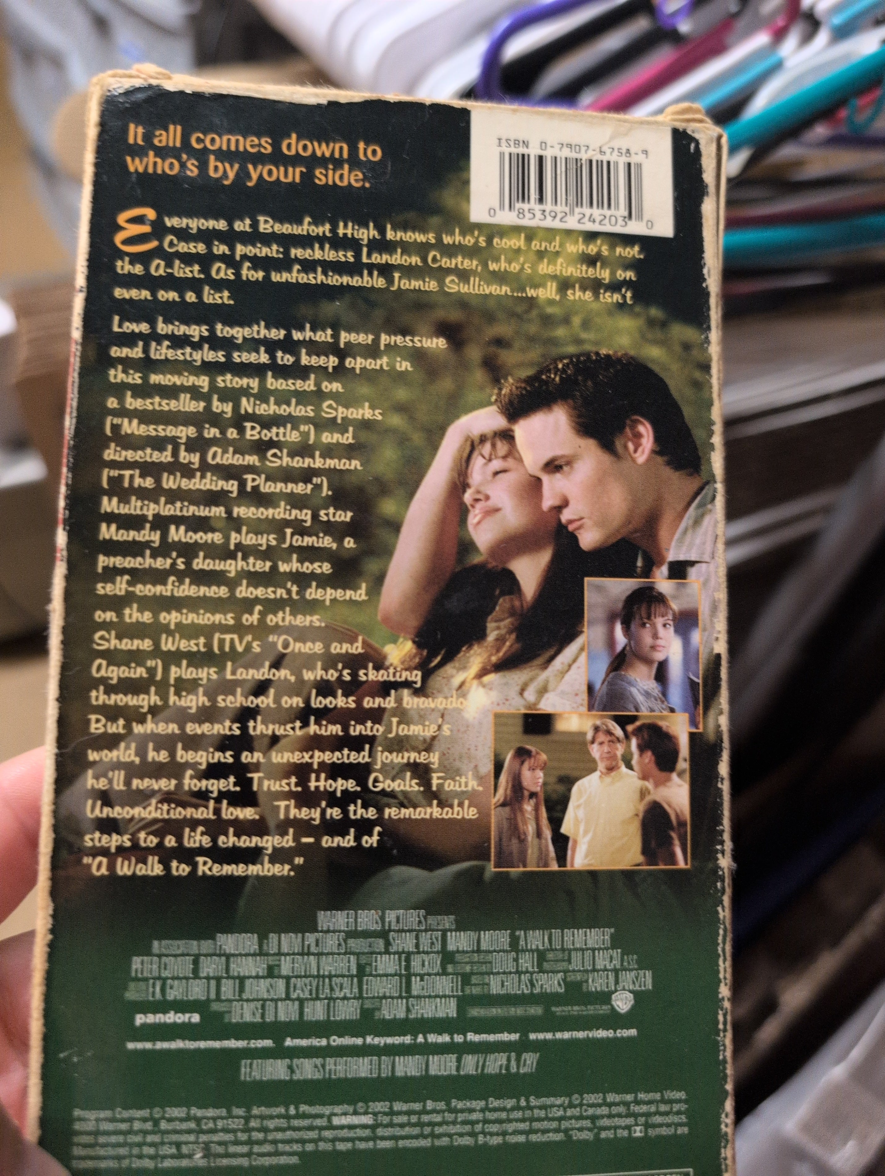 Walk to Remember Adam Shankman Director - Image 7